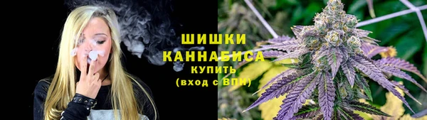 спайс Баксан