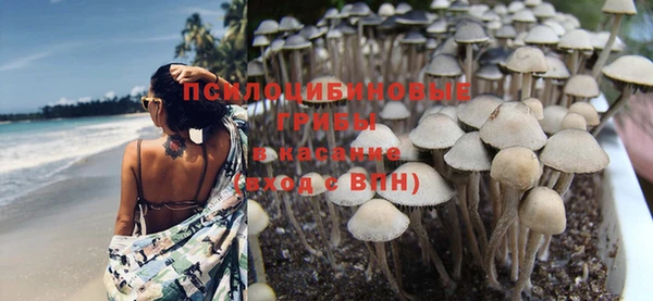 spice Балабаново