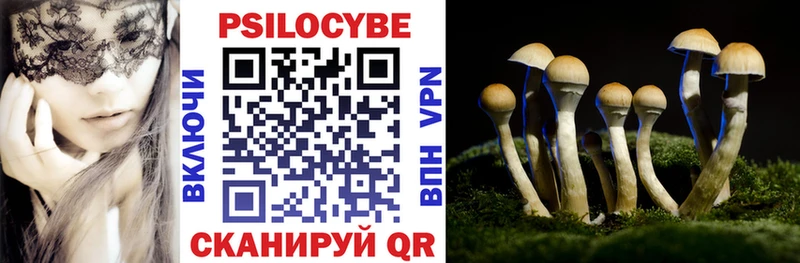 Галлюциногенные грибы GOLDEN TEACHER Славянск-на-Кубани